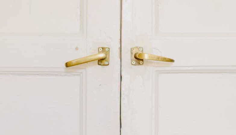 modern white house doors with golden handles